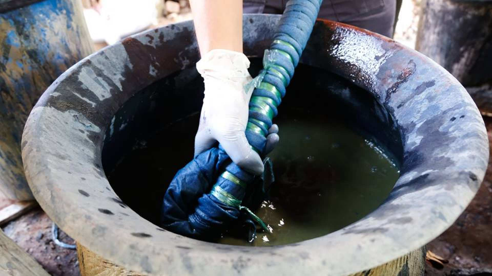 71c91bbe-9834-4784-a15e-9da193a37be4_cotton-farm-garden-house-indigo-dyeing-workshop-in-chiang-mai-thailand
