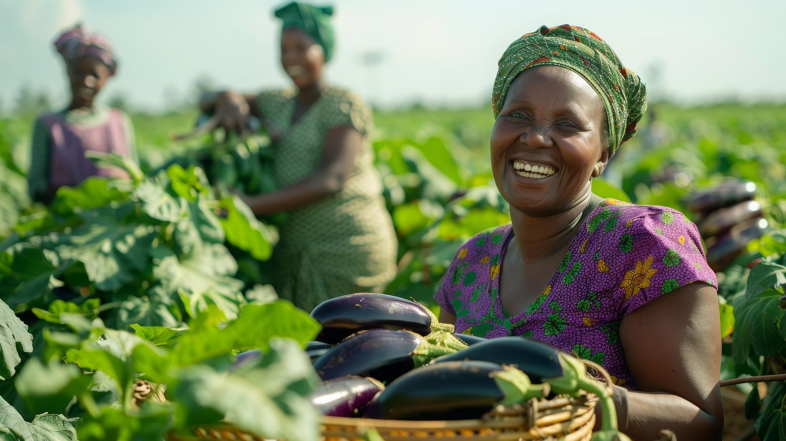 african-people-harvesting-vegetables (1)