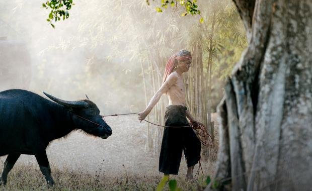 Animist Rituals in Laos | Influence on Local Healing Practices