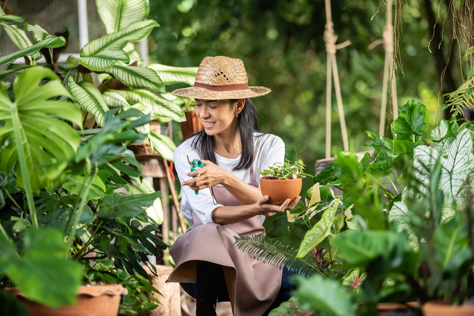 attractive-young-woman-working-with-decorative-plants-garden-center-female-supervisor-examining-plants-gardening-outside-summer-nature-beautiful-gardener-smiling-plant-care