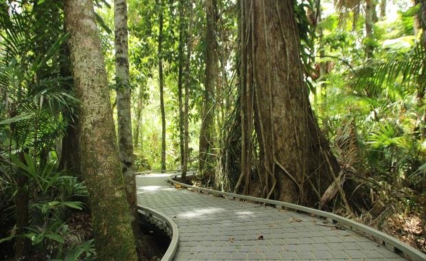 Wildlife Corridors in Laos | Protecting Animal Migration and Biodiversity