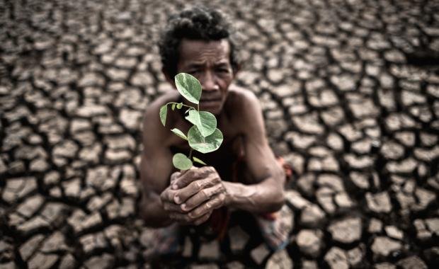 Climate-Resilient Agriculture in Laos | Adapting Farming for the Future