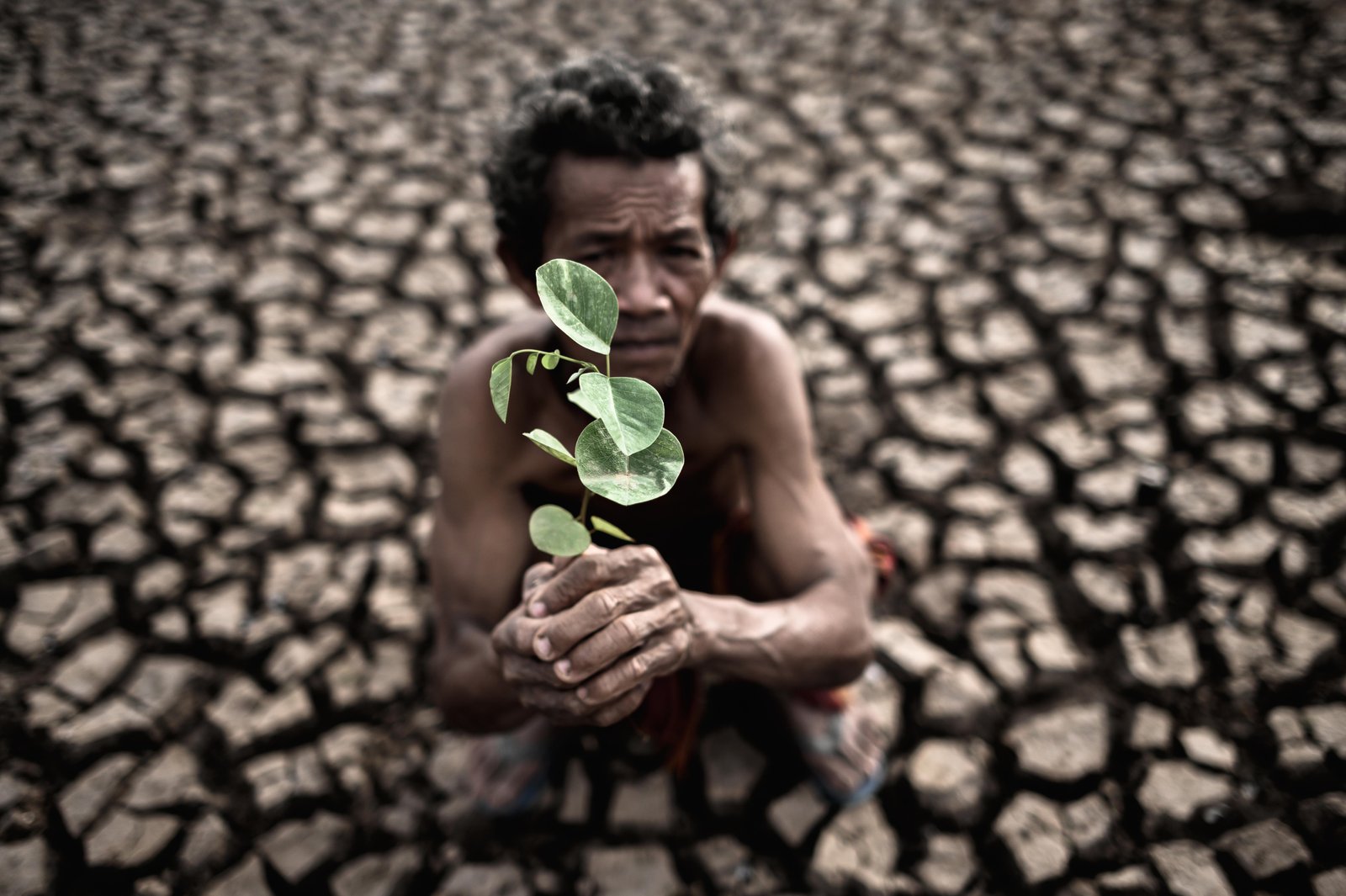 elderly-man-sitting-with-dry-soil-cracked-hand-held-seedling-global-warming