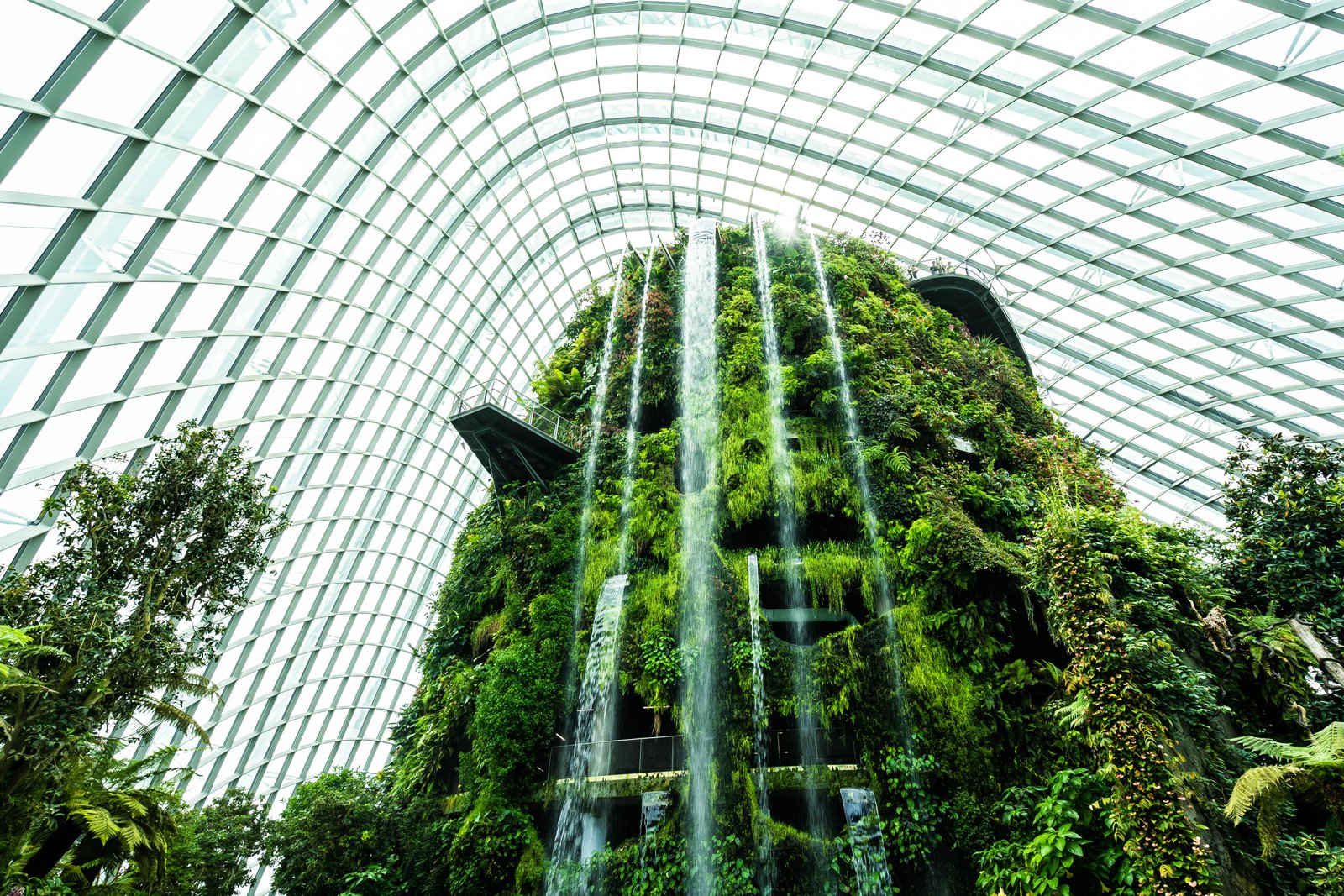 flower-dome-garden-greenhouse-forest-travel