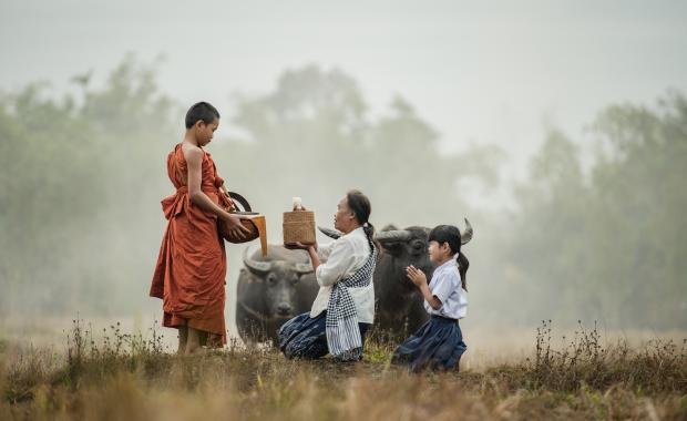 Community Monks in Laos | Guardians of Environment and Spirituality