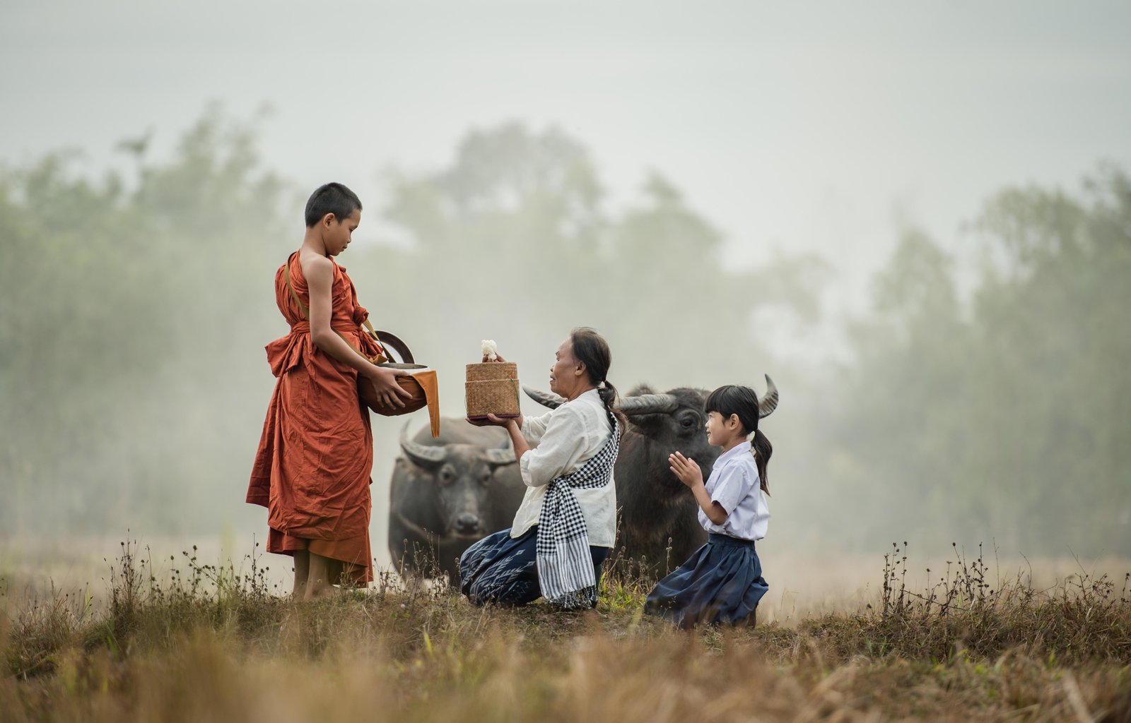 grandmother-grandson-offer-food-novices-1