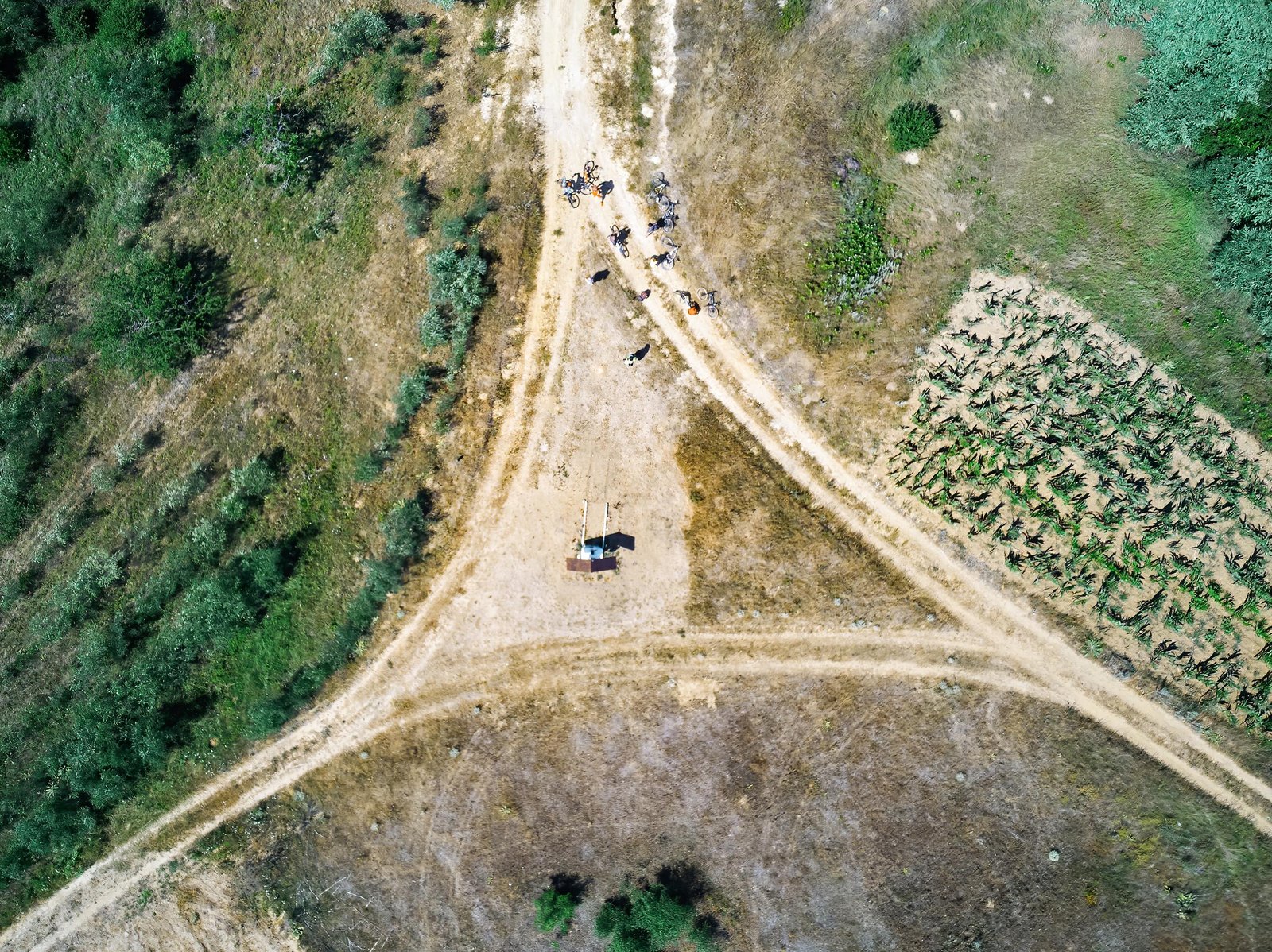 group-cyclists-country-road