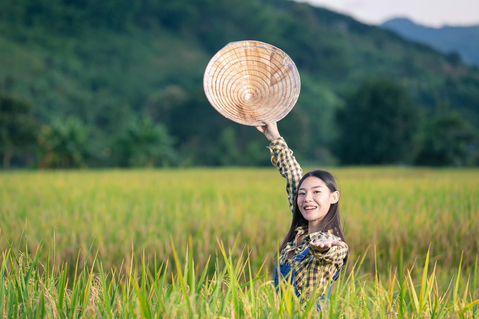 happy-asian-female-write-notes-rice-fields