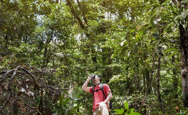 Forest Conservation in Laos | Fighting Illegal Logging and Protecting Nature