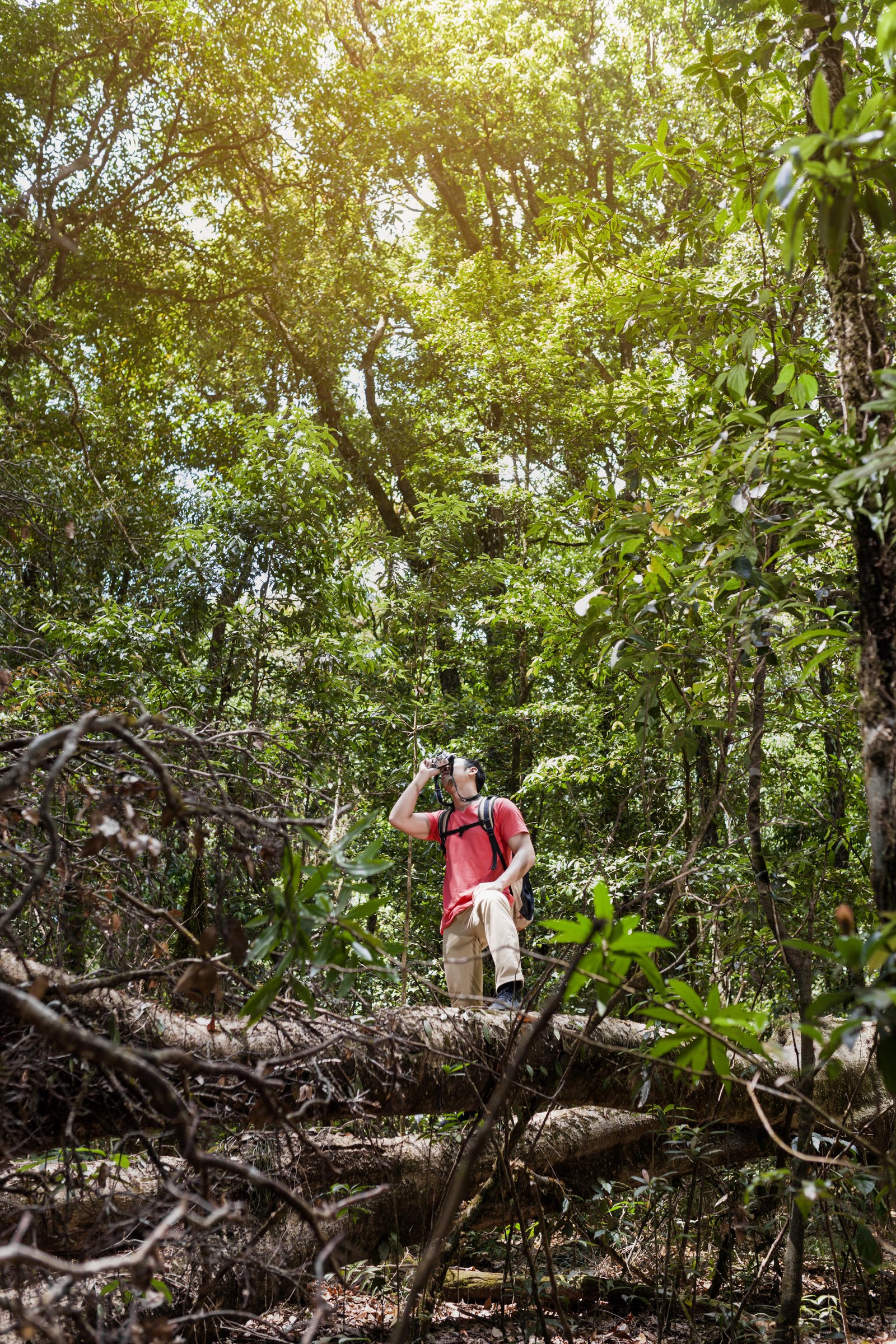 hiker-taking-photo-wild-forest