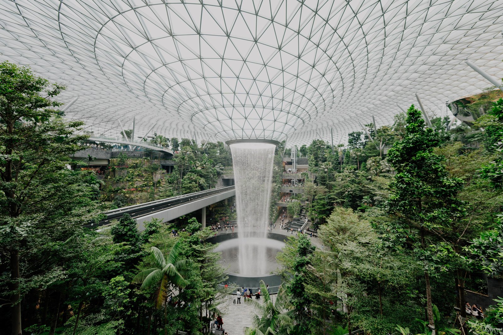 interior-botanical-garden-with-plants-water