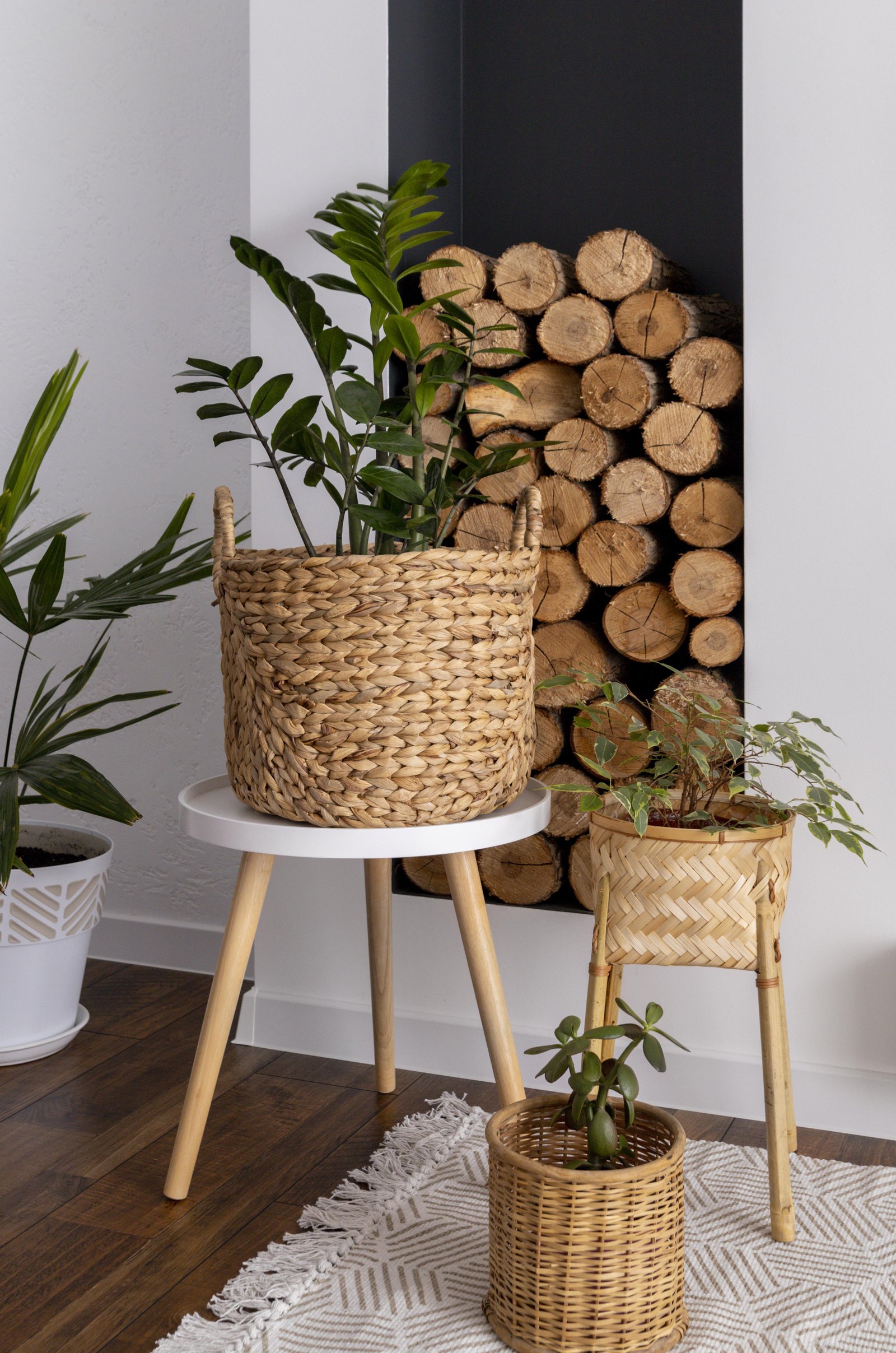 interior-design-with-logs-green-plants