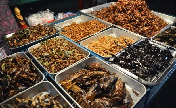 Edible Insects in Laos | Culinary Innovation and Sustainable Nutrition