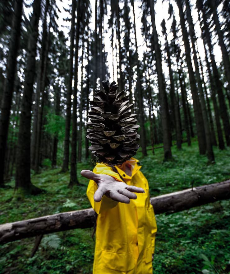 man-standing-forest_1048944-24705237