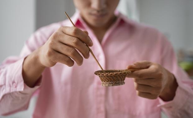 Lao Folk Medicine | Herbal Knowledge and Healing Traditions