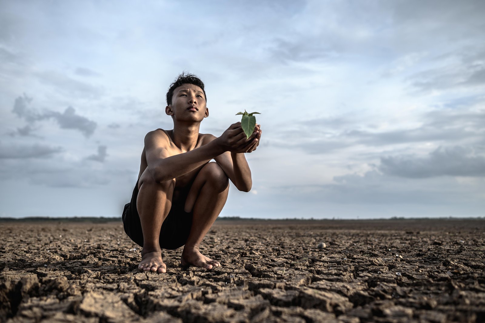 men-sit-their-hands-holding-seedlings-dry-ground-looking-sky