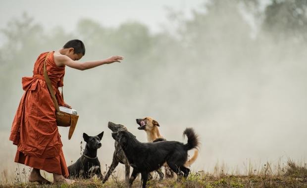 Lao Folklore and Storytelling | Preserving Oral Traditions