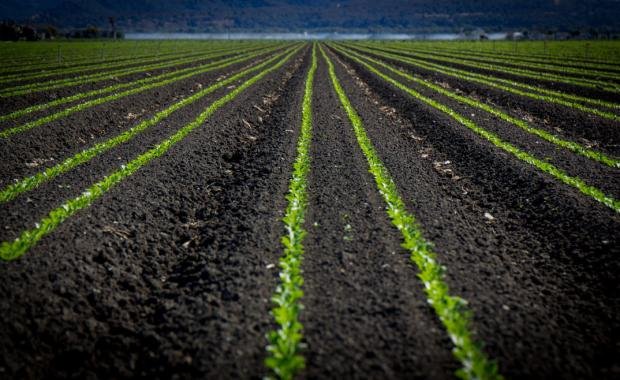 Biochar Farming in Laos | Restoring Soil Fertility and Sustainability