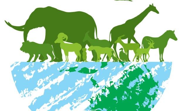 Wildlife Conservation in Laos | Education in Schools and Communities