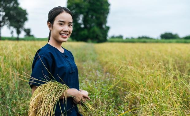 Women-Led Rice Cooperatives in Laos | Branding, Empowerment, and Rural Growth