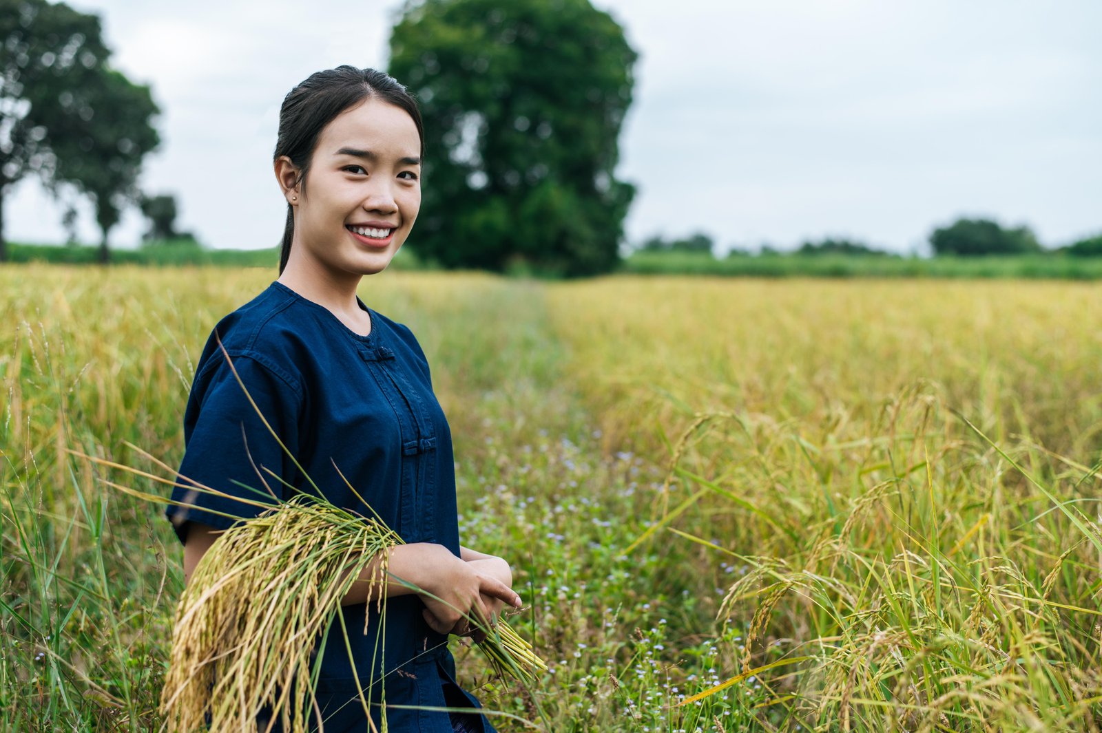 portrait-asian-young-farmer-woman-holding-ripe-rice-stalks-her-arme