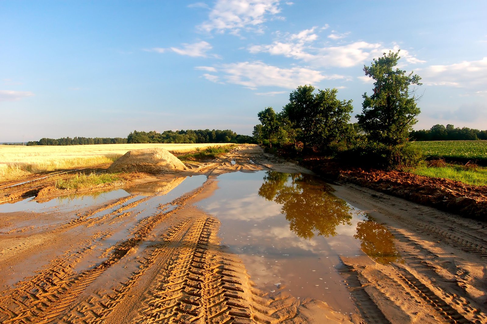 puddle-water-meadow