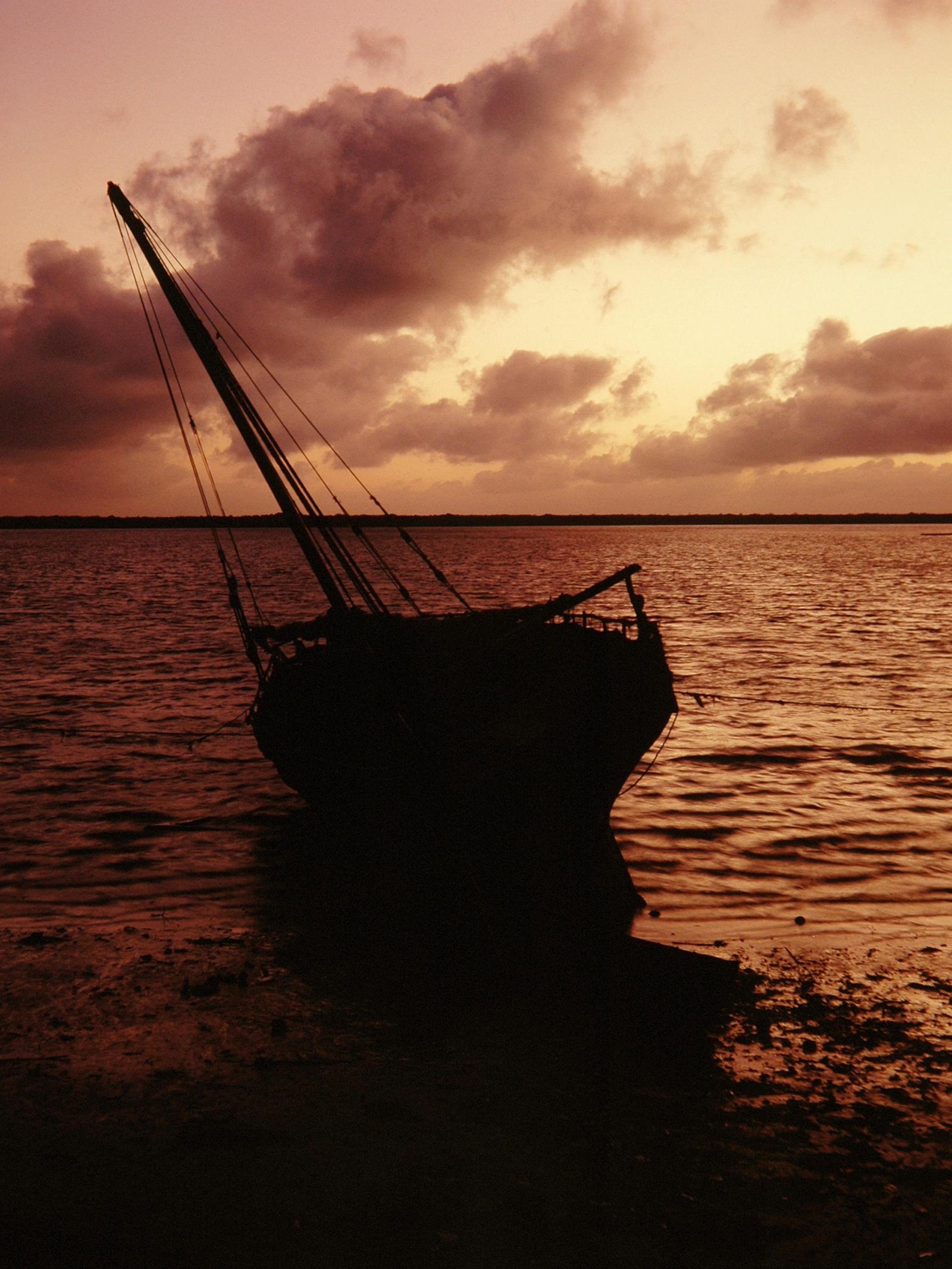 silhouette-boat-shore-near-water-pink-sky-lamu-kenya