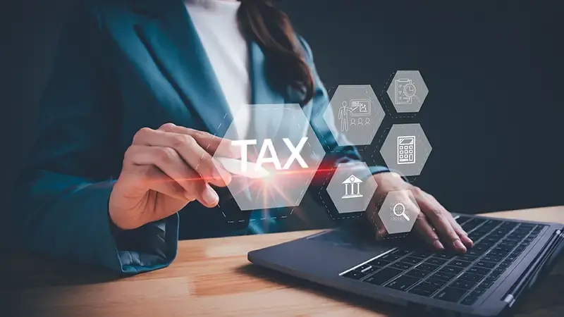 tax expert