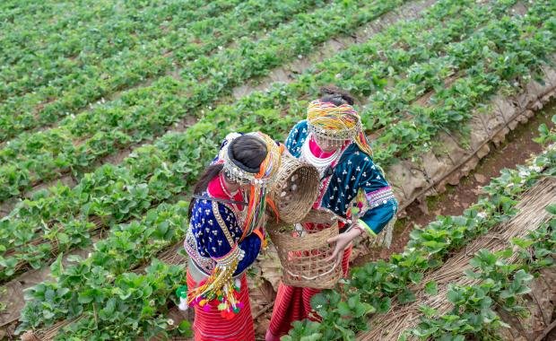 Rural Cooperatives in Laos | Community Empowerment and Growth