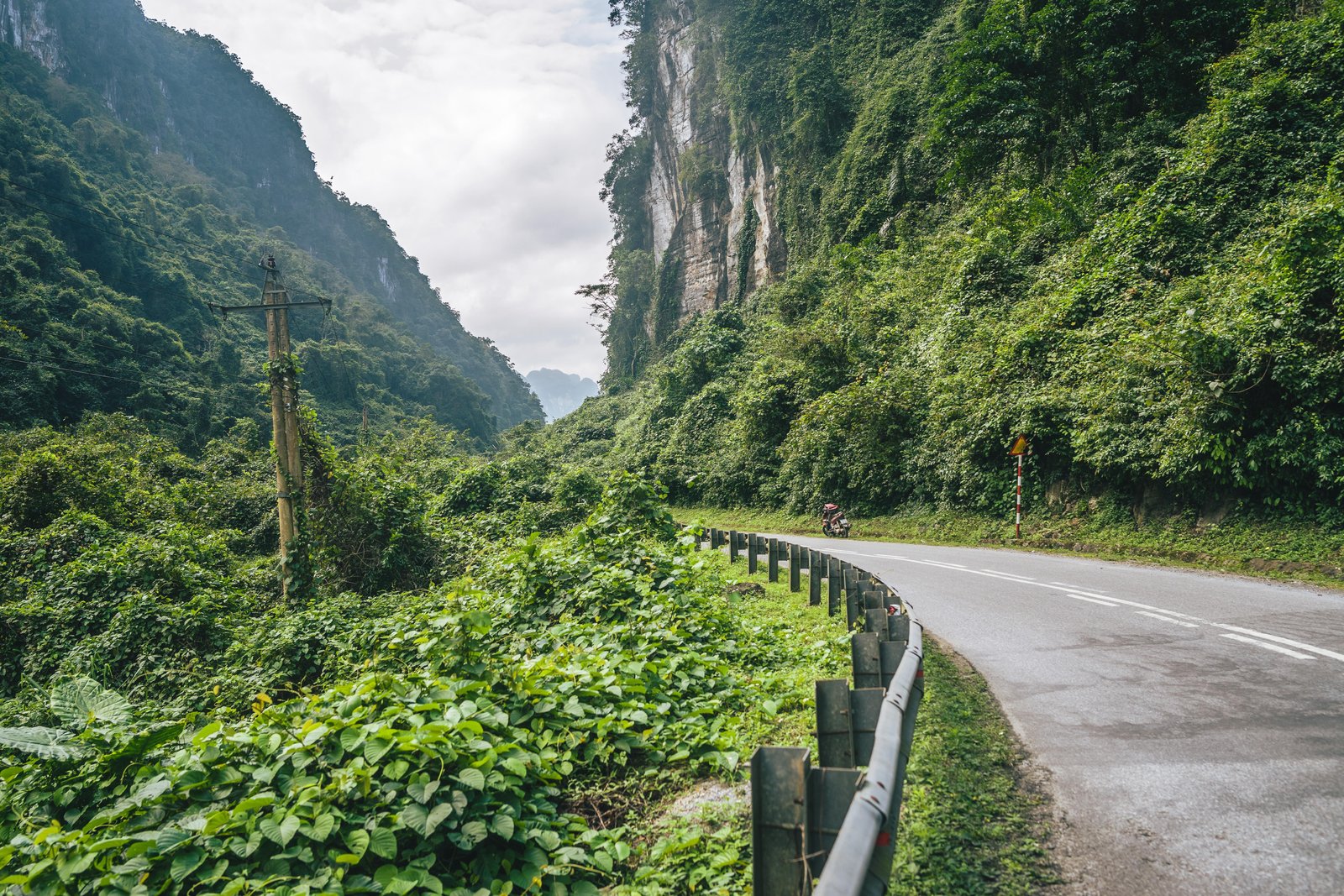 winding-road-green-forest-mountains
