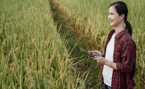 Agricultural Drones in Laos | Future of Rice Farming