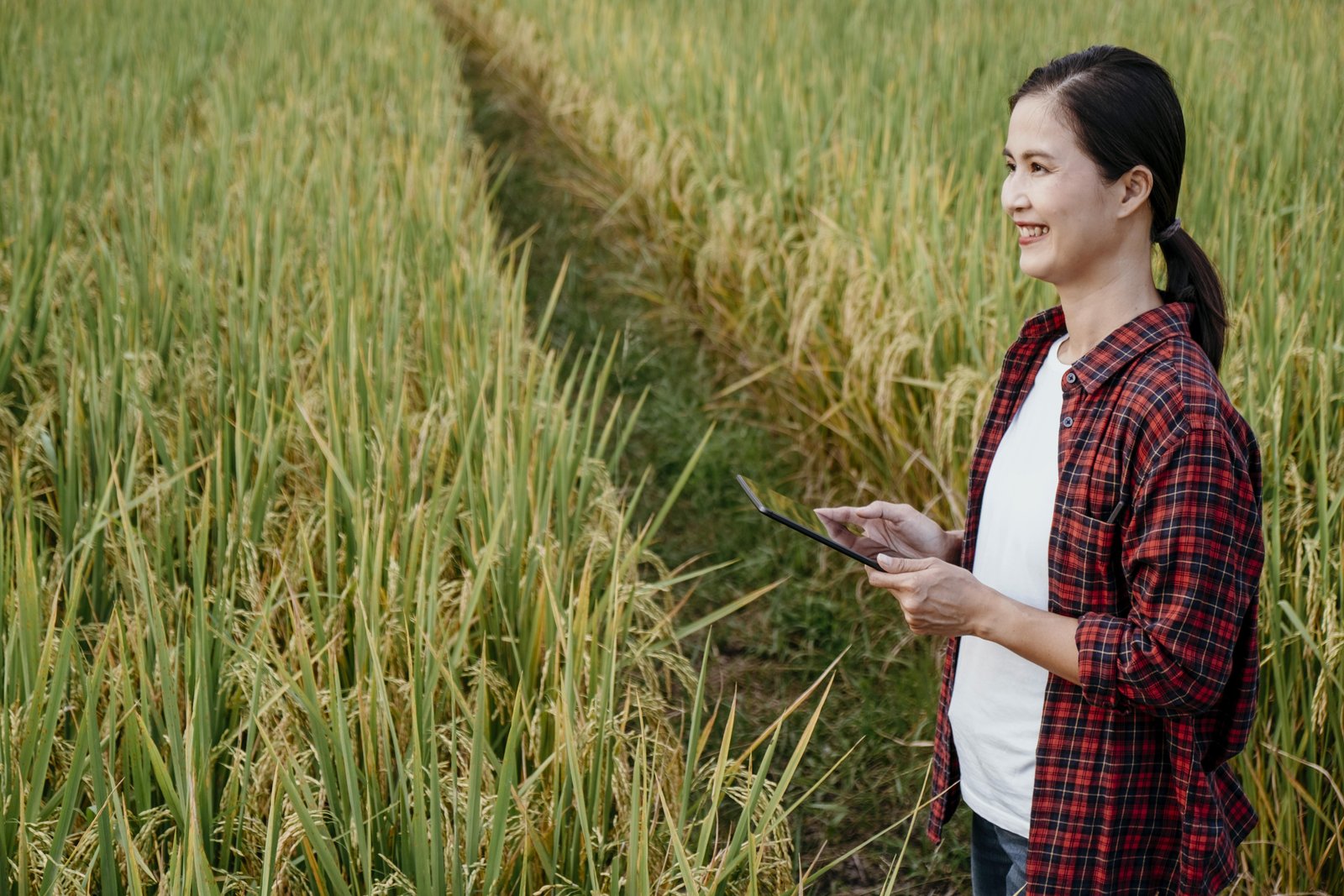 woman-studying-different-plants-with-tablet