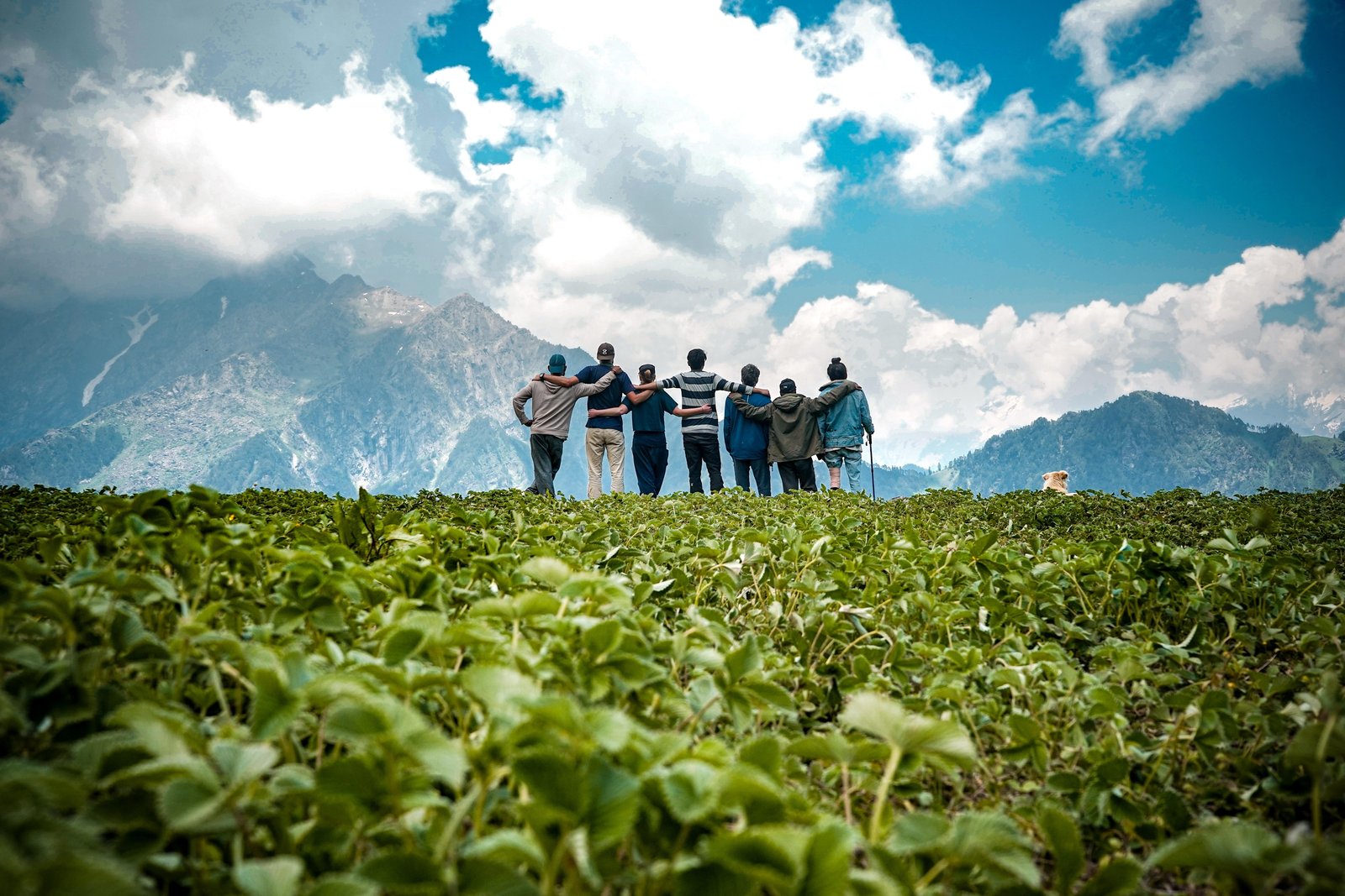 young-friends-top-mountain-enjoying-mesmerizing-view