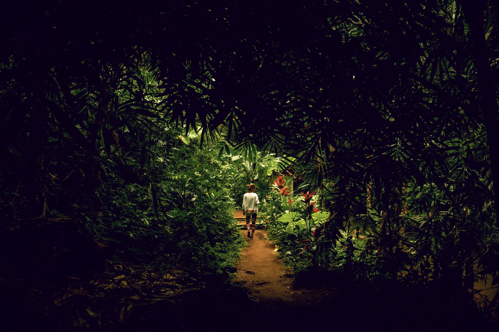 young-woman-jungle-rock-bali-indonesia